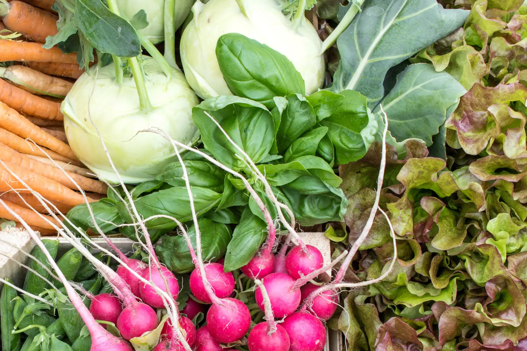 légumes fruits de saison primeurs des halles chatelet orléans